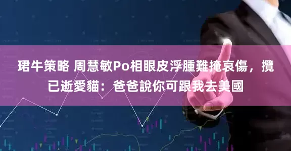 珺牛策略 周慧敏Po相眼皮浮腫難掩哀傷，攬已逝愛貓：爸爸說你可跟我去美國