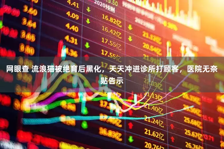 网眼查 流浪猫被绝育后黑化，天天冲进诊所打顾客，医院无奈贴告示